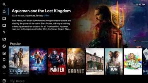 FlixVision watch movies HD. 5